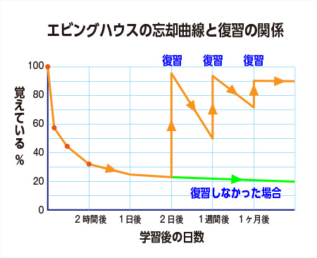 エビングハウス忘却曲線集客