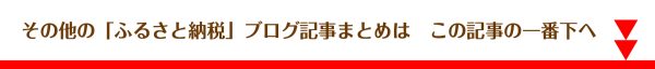 ふるさと納税セミナー講師