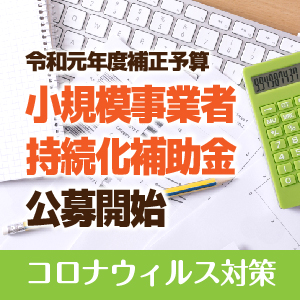 小規模事業者持続化補助金ポイント