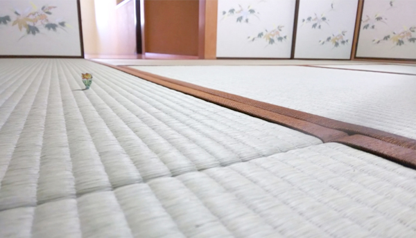 tatami-photo